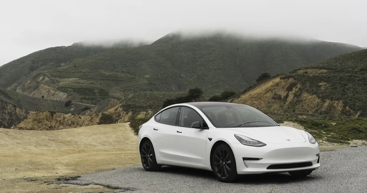 Tesla Model Y PPF Kaplama